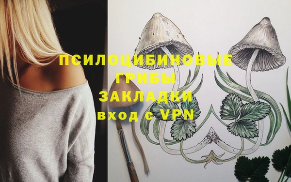 2c-b Баксан