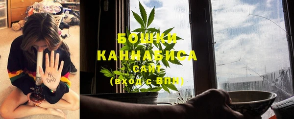 mdma Снежногорск